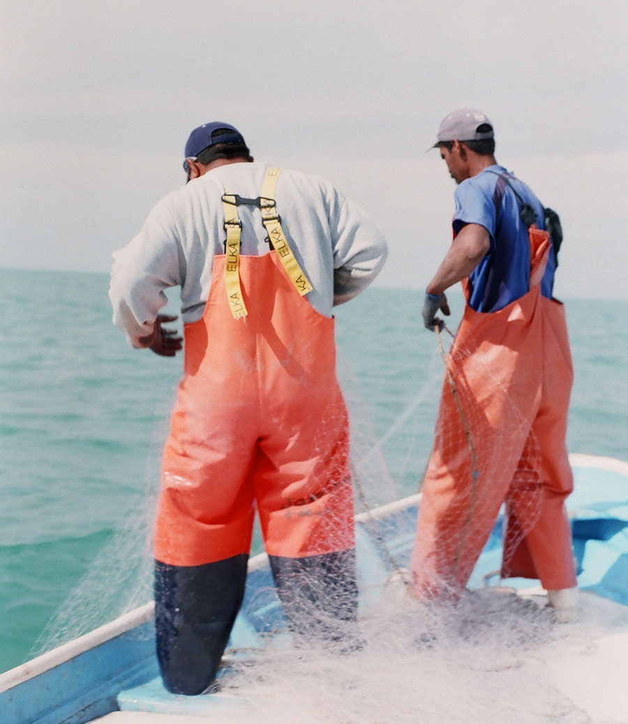 Golfo de Santa Clara