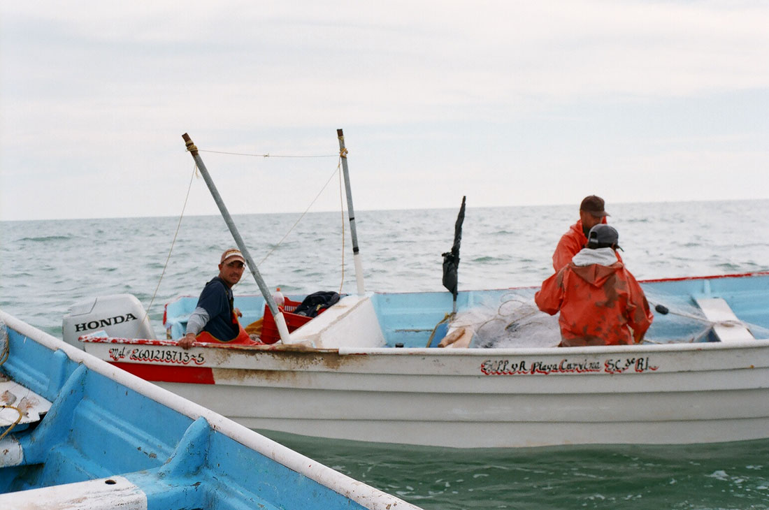 Golfo de Santa Clara