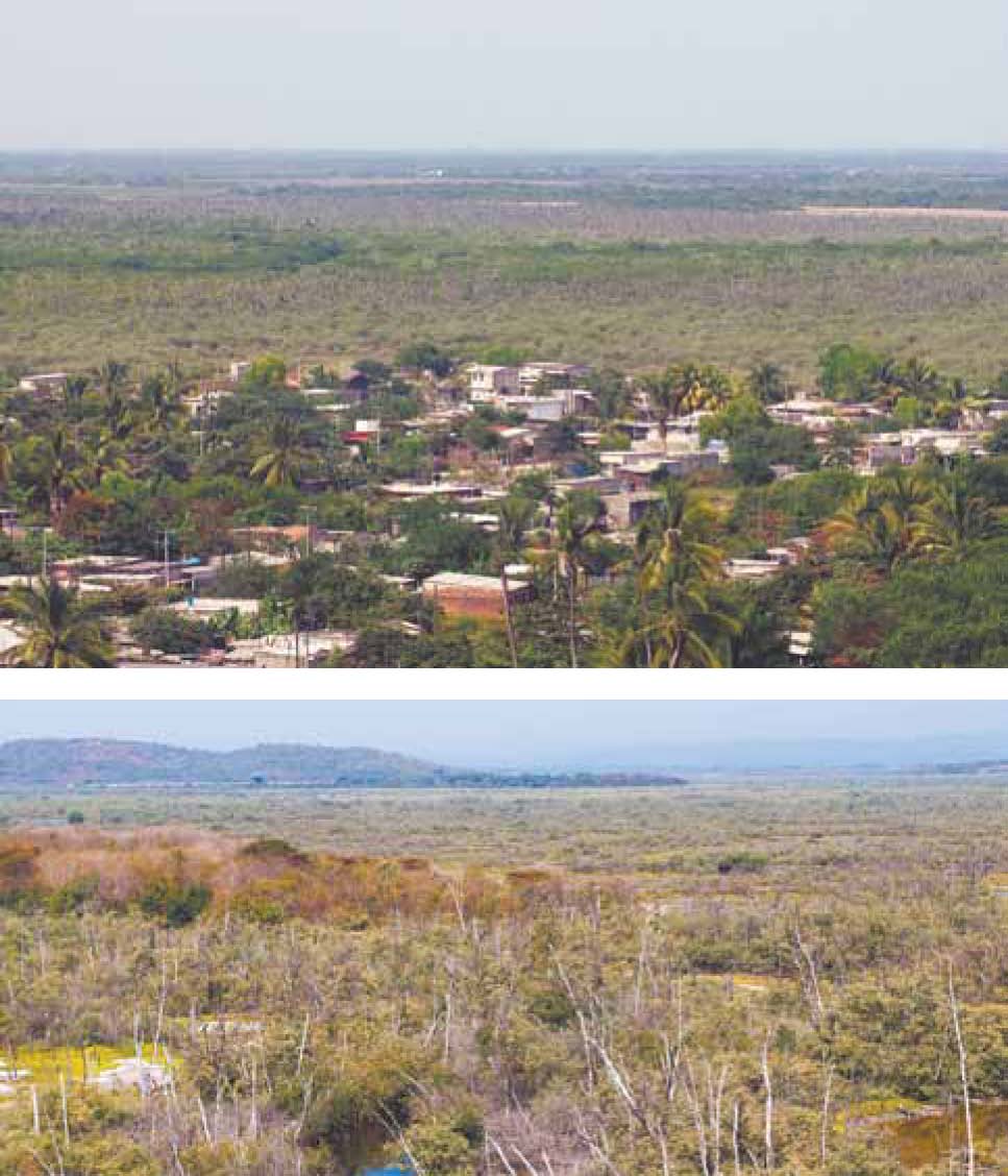 Vista de los manglares